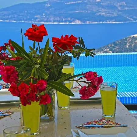 Soho Villa
